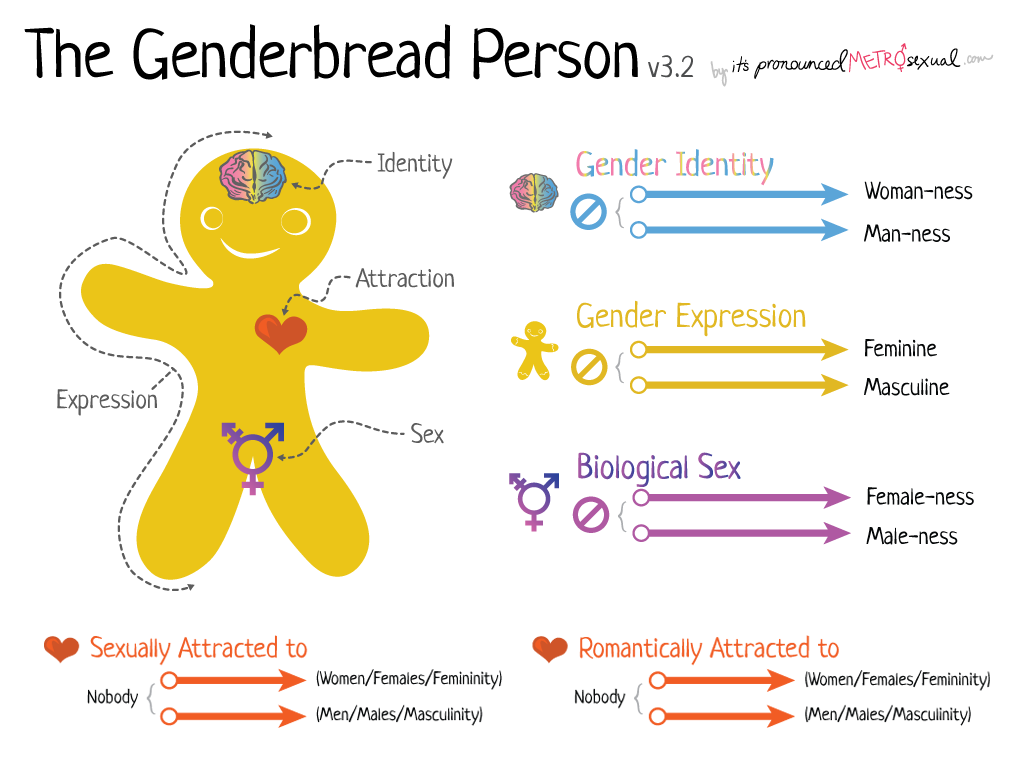 The Genderbread person, an explanation of many terms