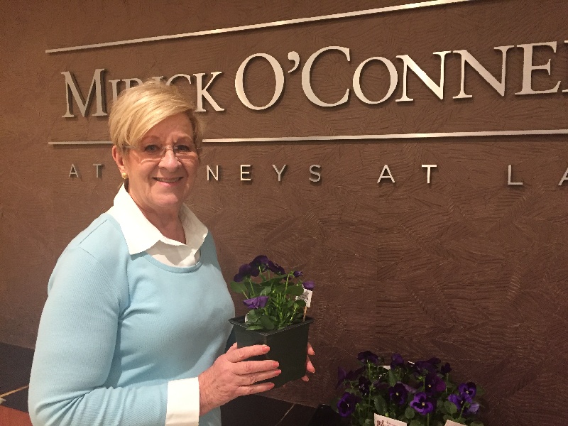 pansies - IMG_4943.jpg