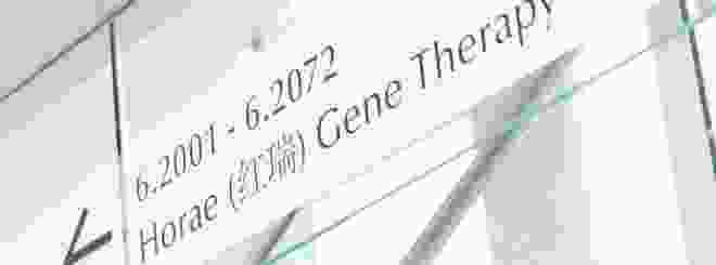 Gene Therapy Center