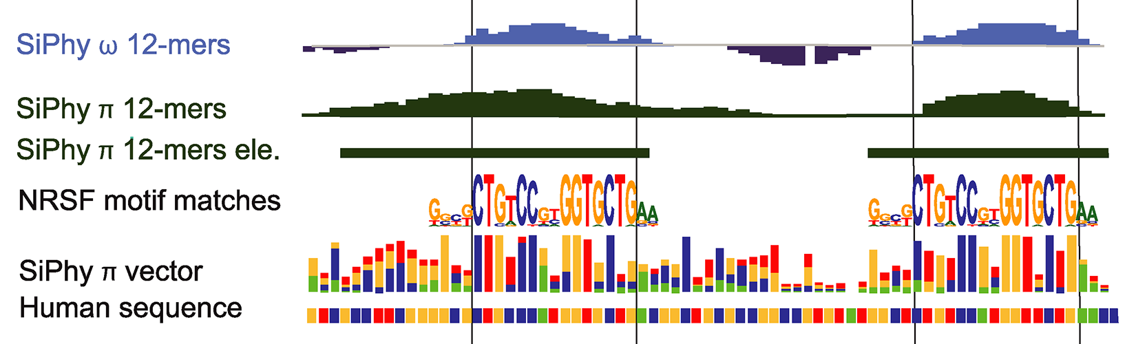 Regulatory Elements Transcriptional Regulatory Element
