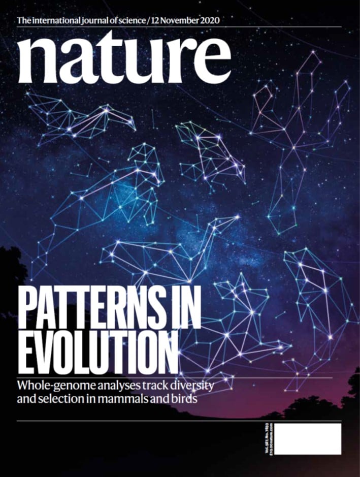 Nature Magazine cover 2020.11.12.jpg