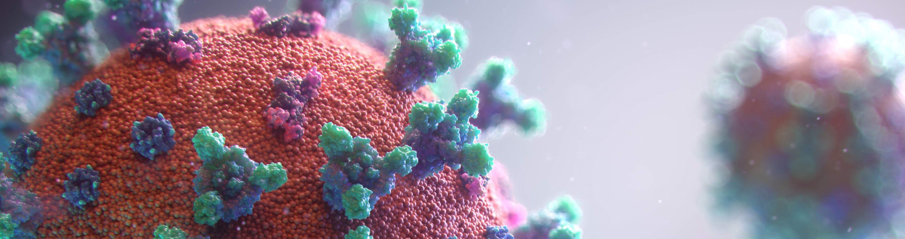 covid 19 header cr.jpg