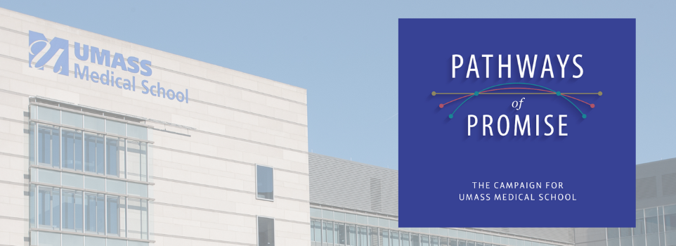 comprehensive campaign.png