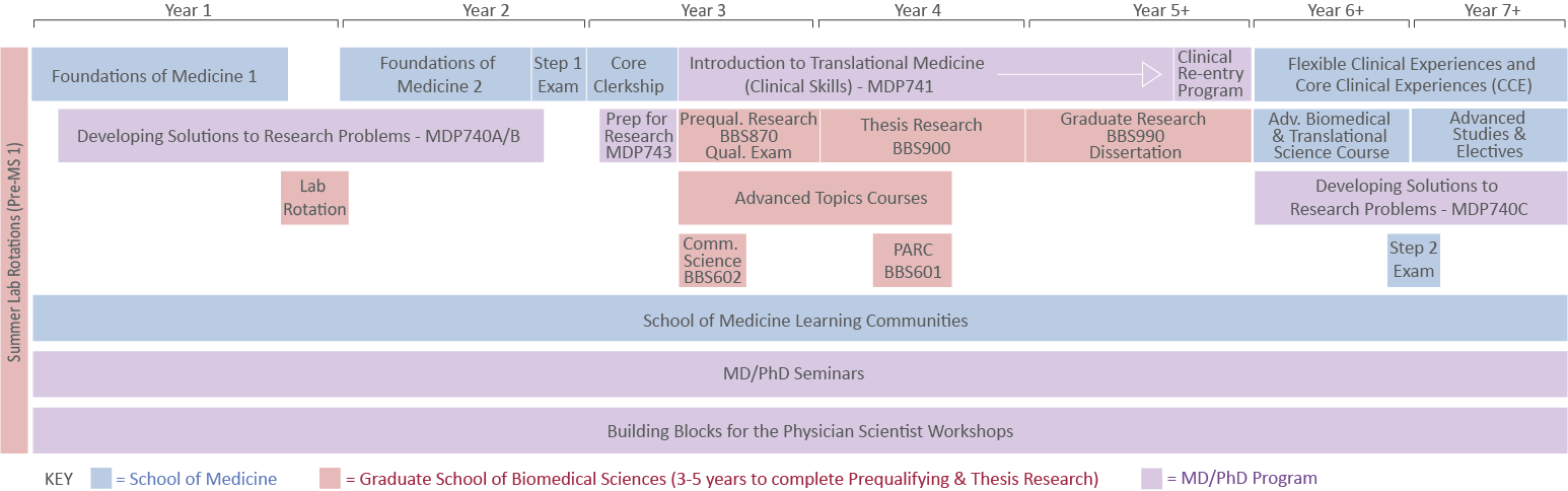 MD/PhD Program Timeline