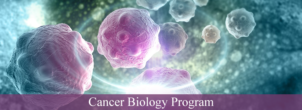 cancer biology phd programs