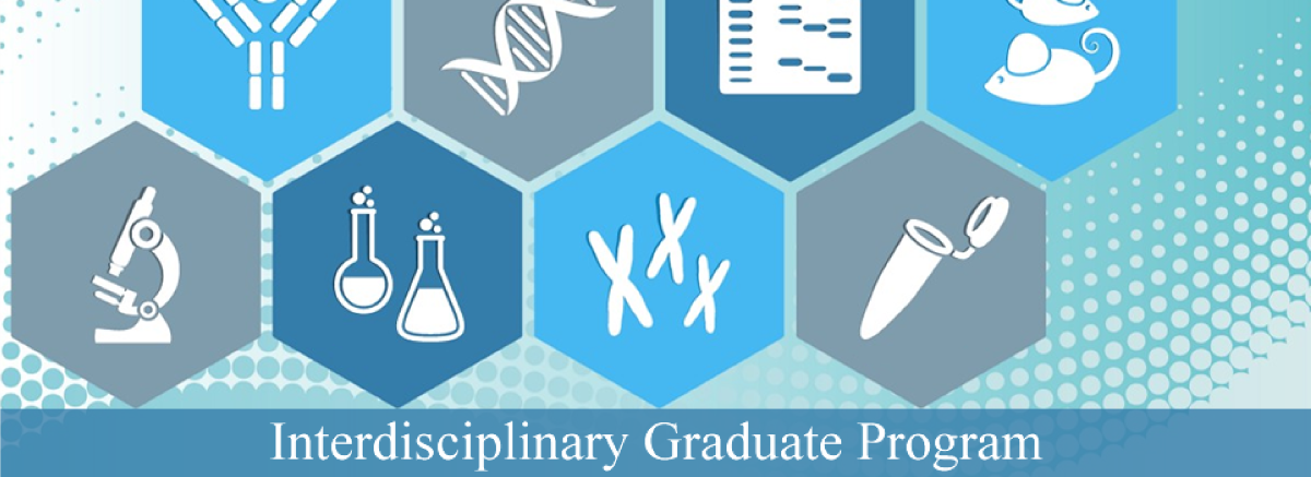 descriptive taxonomy the foundation