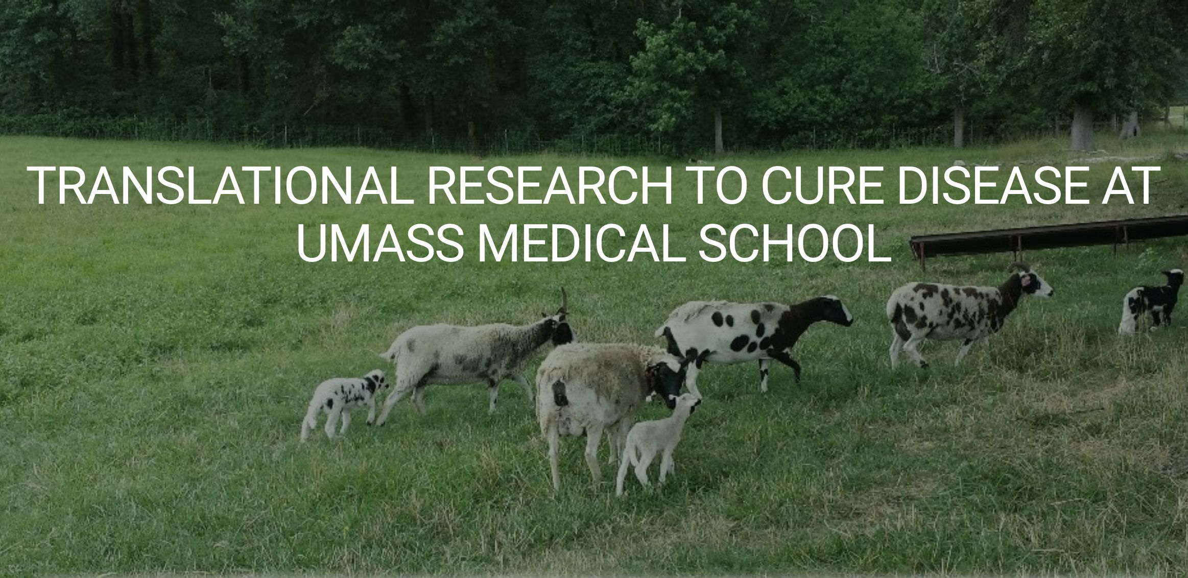 Screen Shot 2022-02-11 at 9.52.45 AM.png