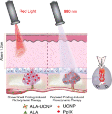 Amplifying the red-emission of upconverting nanoparticles for biocompatible clinically used prodrug-induced photodynamic therapy. 