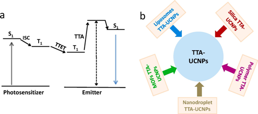 Designing next generation of photon upconversion: Recent advances in organic triplet-triplet annihilation upconversion nanoparticles.