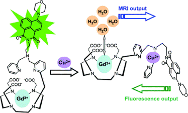 Dual-Functional Gadolinium-Based Copper(II) Probe for Selective Magnetic Resonance Imaging and Fluorescence Sensing