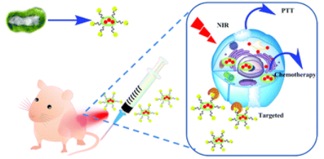 Multifunctional Cu39S28 Hollow Nanopeanuts for In Vivo Targeted Photothermal Chemotherapy. 