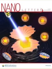 Three-Dimensional Colloidal Controlled Growth of Core-Shell Heterostructured Persistent Luminescence Nanocrystals.