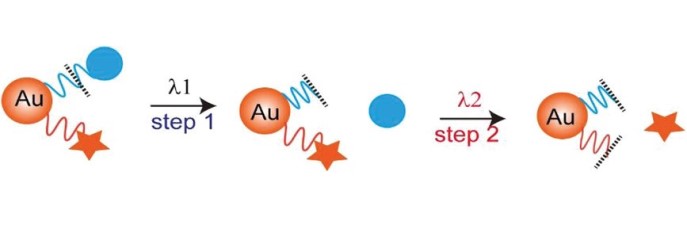 Wavelength-Selective Light-Controlled Stepwise Photolysis from Single Gold Nanoparticles. 