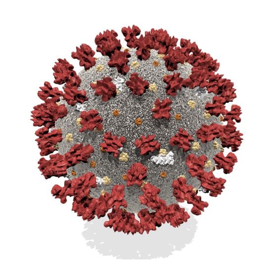 SARS-CoV2.png