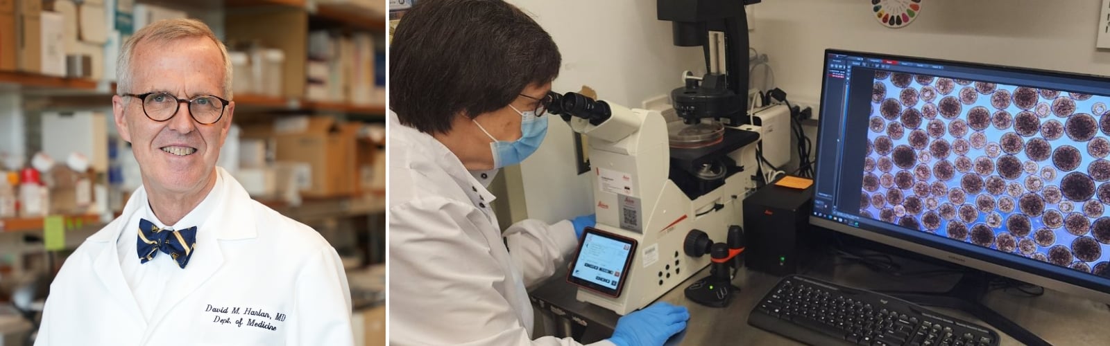 Dr. David Harlan headshot and Sam Redick, PhD, working in the lab