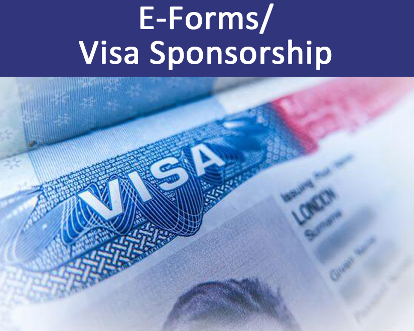 E-file Visa Sponsorships