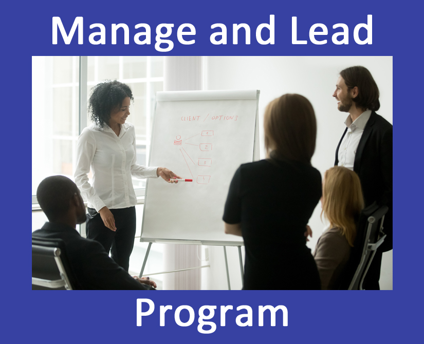 Manage and Lead Program