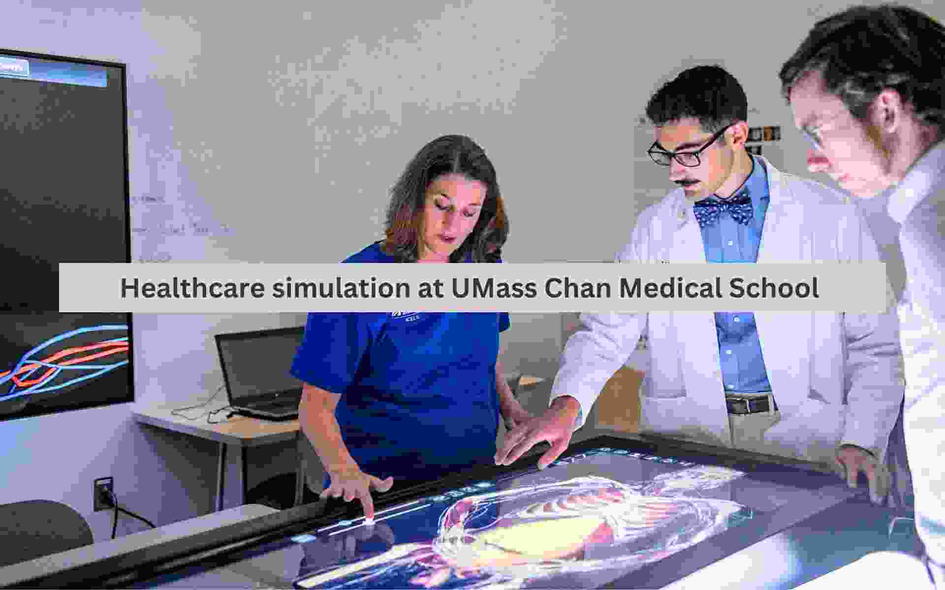 iCELS-educators-modules-healthcare-simulation-medical-school-anatomage