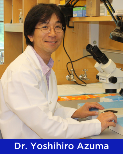 Dr. Yoshihiro Azuma