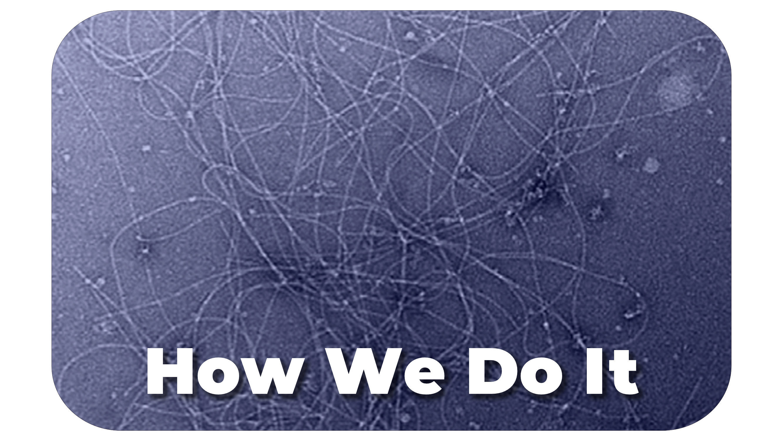  how we do it_kelch.png