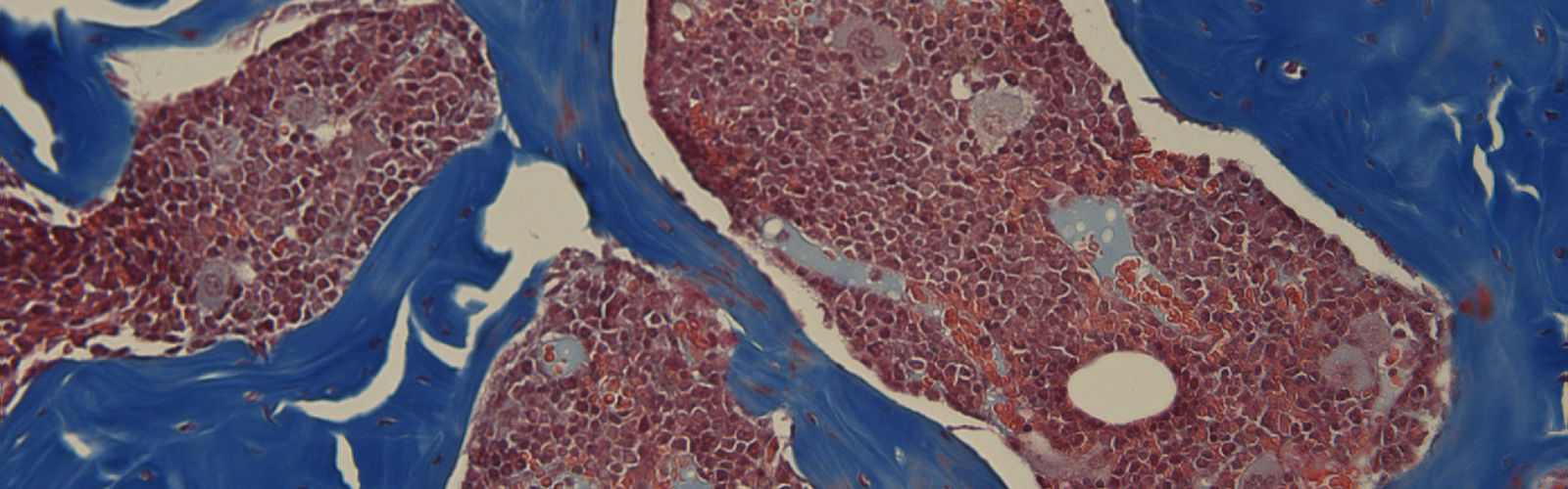 10 Koupenova Home Slider Last