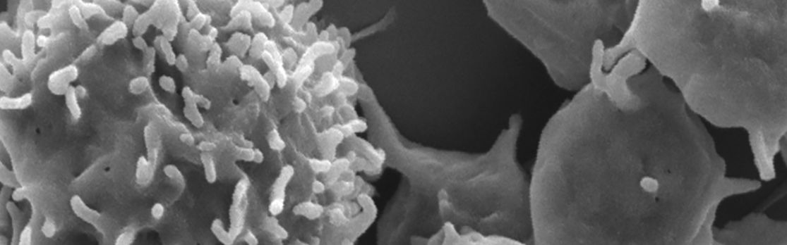 3 Koupenova Home Slider