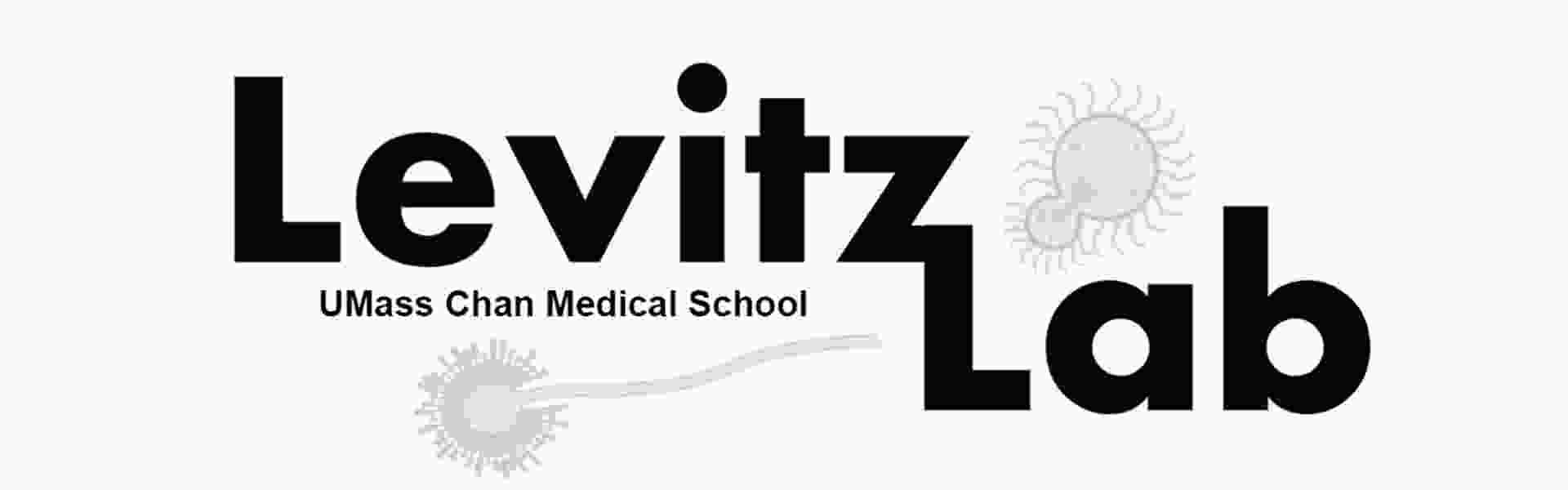 levitz-lab-logo_2022 rev slider2.jpg