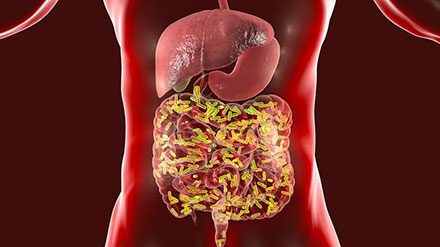 healthy-microbiome.jpg