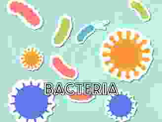  BACTERIA_ICON.png