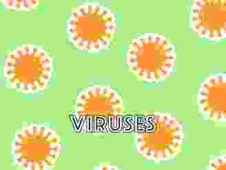  VIRUSES_ICON.png