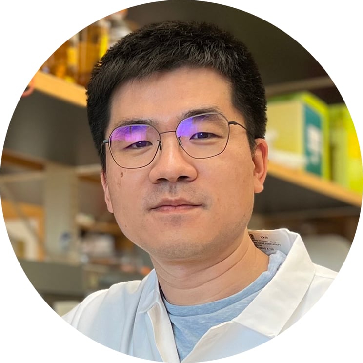 Headshot of Xin Yang, PhD