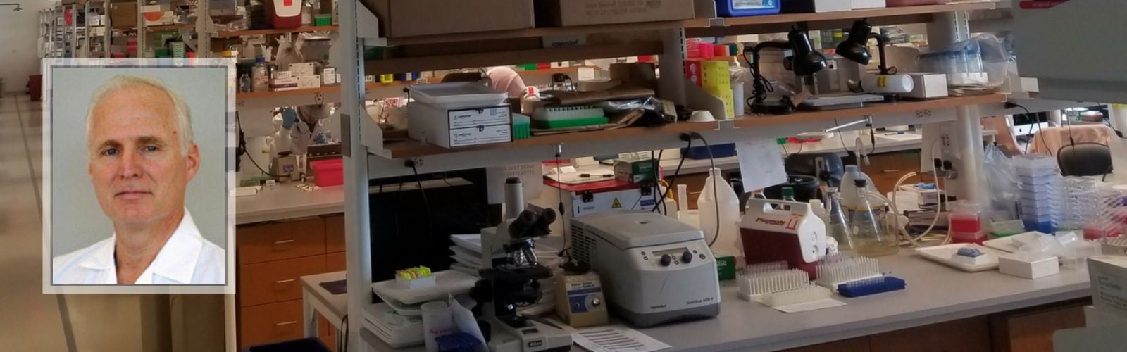 Messina About Us 2.png