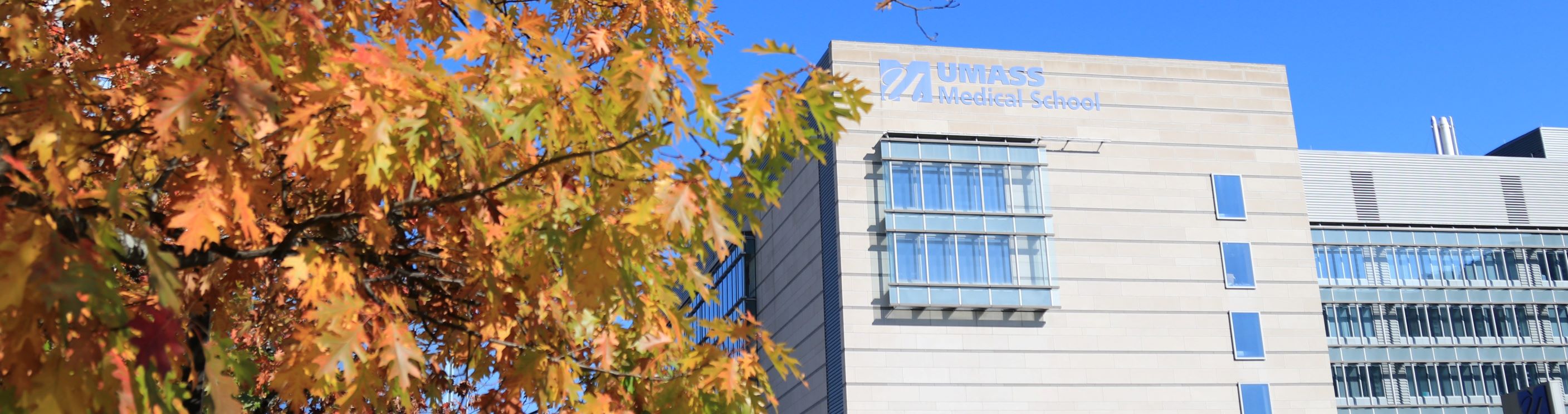 UMass Chan Medical School building in fall