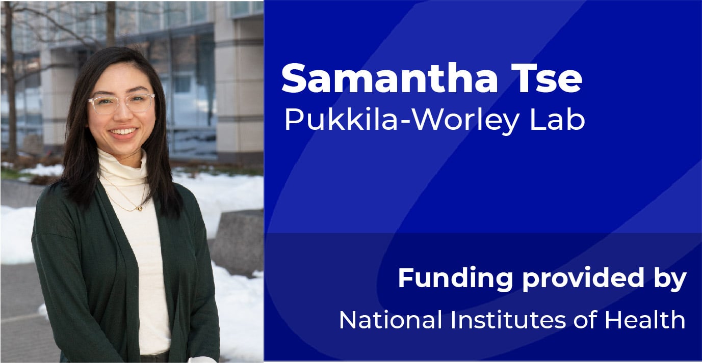 Samantha Tse, Pukkila-Worley Lab, Funding provided by National Institutes of Health