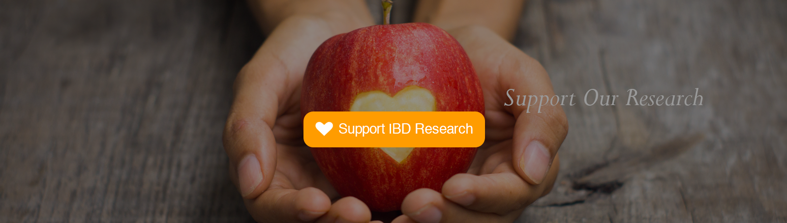 Support IBD Research