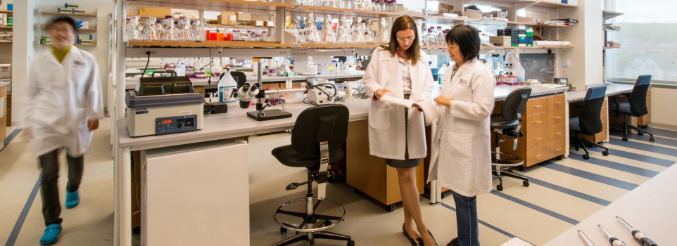 research - Vanderwarker-3515.jpg