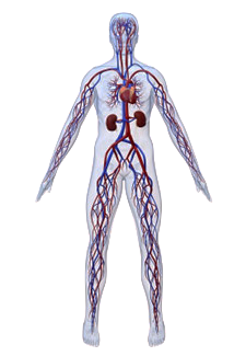 vasc-sys-white-sm copy.png