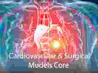 Cores-CardiovascularCore.png