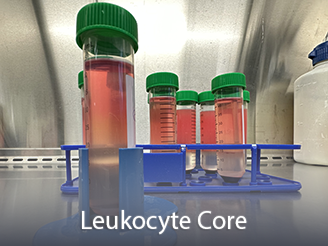  Cores-LeukocyteCore.png