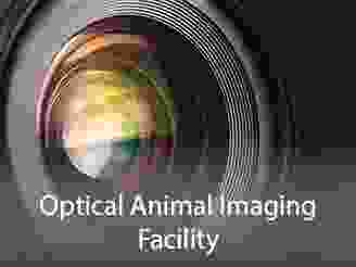  Cores-OpticalImaging2.png
