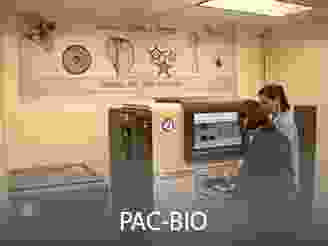 Cores-PACBIO.png