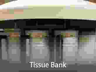  Cores-TissueBank.png