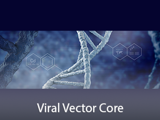  Cores-ViralVector.png