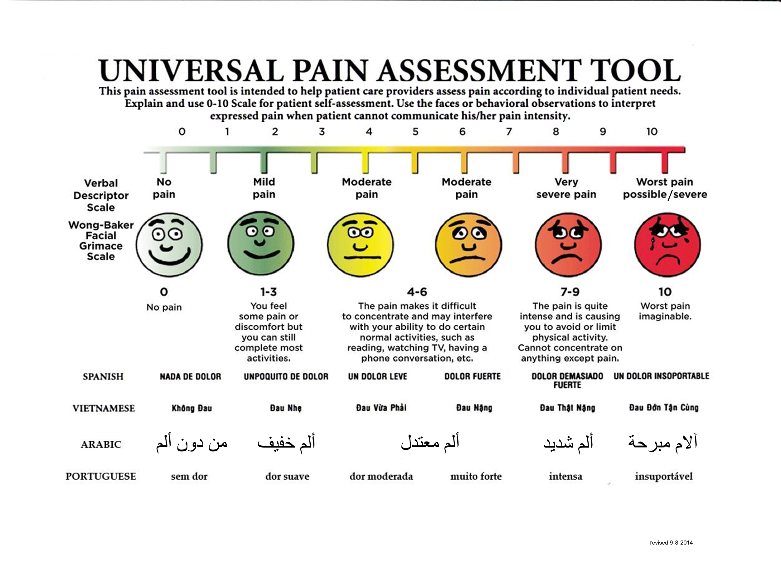 Universal Assessment Chart