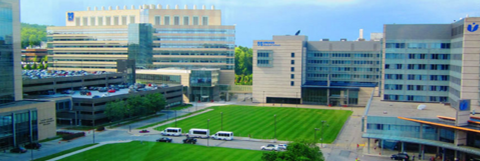 UMMHC-UMMS Cancer Center of Excellence