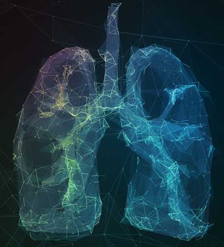 Cardiothoracic Imaging photo