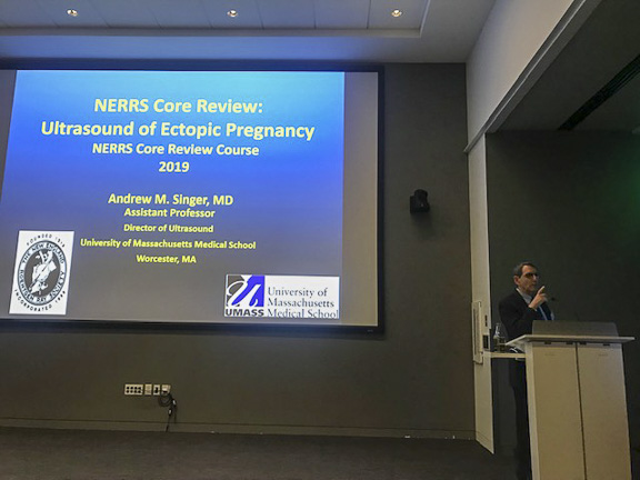 Dr. Andrew Singer - NERRS review course