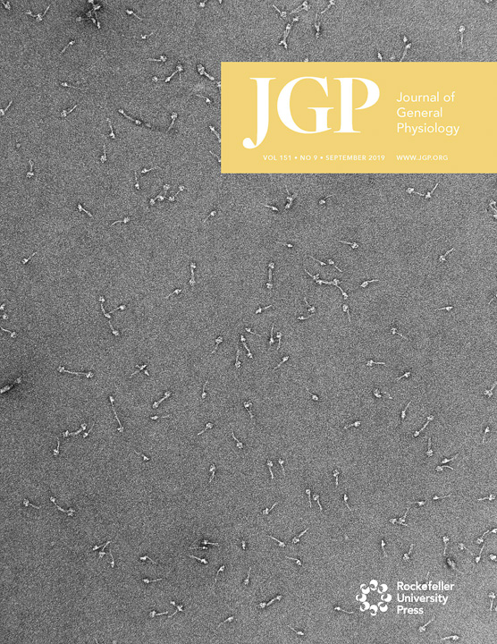 Craig Lab - Cover photo Journal of General Physiology Sept 2019