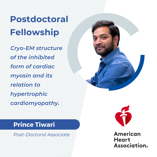 Prince Tiwari, PhD American Heart Association grant