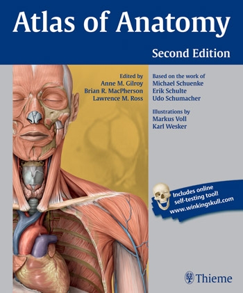 Theime Atlas of Anatomy